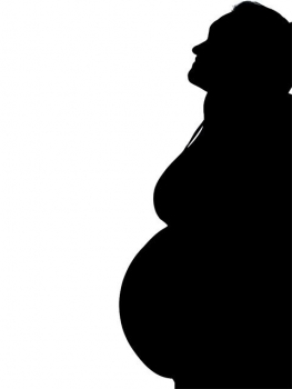 picture of Maternity 