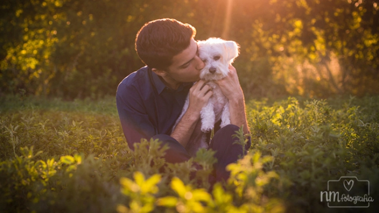 Pets