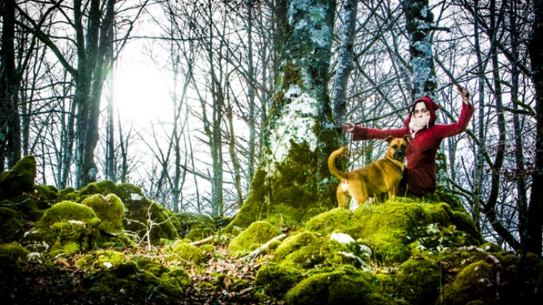 Photography, Photo retouching, Pets, Lifestyle
