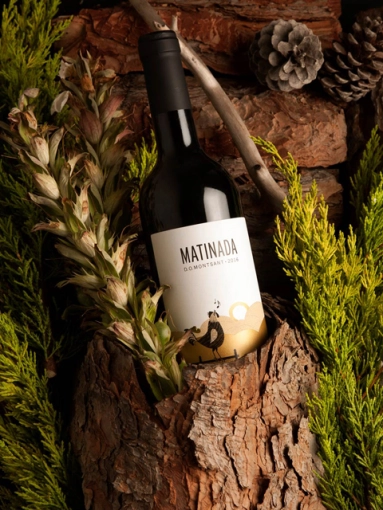 Photography, Product photos, Artistic