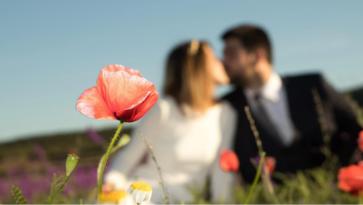 picture of Wedding and Nature 